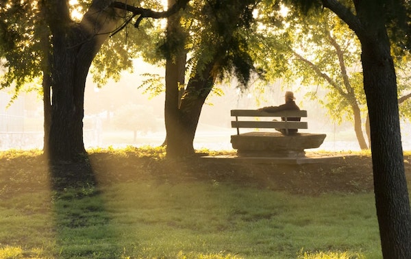 person sitting on bench in park