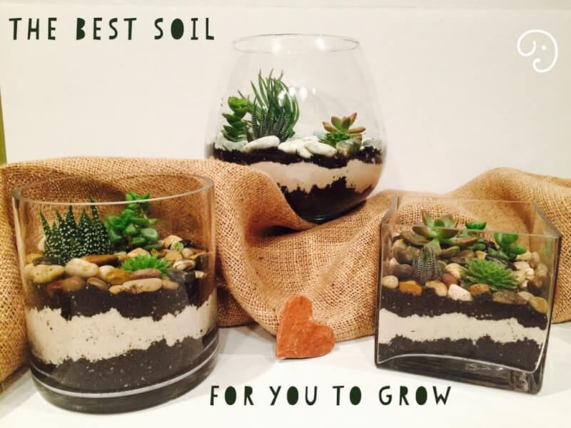 the best soil for you to grow